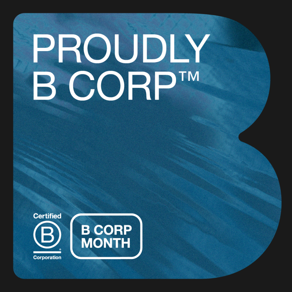 Our 2024 Impact Read More